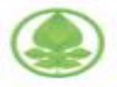 目指せ指先美人♡ロングが魅力のスカルプネイルデザイン