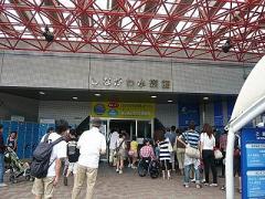 #Instagramに乗せたくなる！しながわ水族館で見れる神秘的な海の世界まとめ