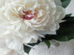 RAINBOWカラーで楽しむ♡笑顔を食卓に運ぶとっておきのジャムが欲しい♡