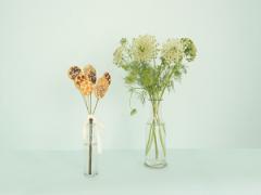 cotitoで過ごす優しい時間。食べるお花、「ハナトオカシト」