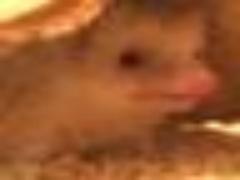 ファンが急増中！旨味がギュっとつまったムール貝の美味しいレシピ集