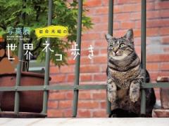 あなたの街で出会う♪「岩合光昭の世界ネコ歩き」写真展でキュートな猫に釘付け♡