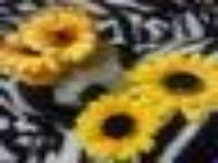 マニキュアのトップコートが欠かせない！アートネイル３選