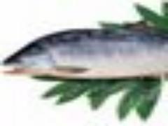 サーモン好きにはたまらない！絶対おすすめのレシピ集