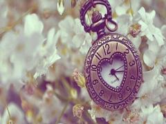 1日3分本気を出すだけ。短期集中型サーキットダイエット講座