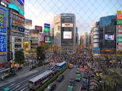 きっと特別な1日が始まる。東京の朝デートスポットおすすめ4選