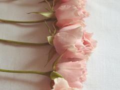 ''お花''と暮らして心にゆとりを。忙しい毎日だからこそ、癒やしを育もう＊