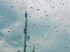 エリザベス女王がお手本！傘とおそろいコーデで雨の日が楽しみに♩