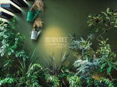 BROWN RICE（ブラウンライス）で夏限定のクラフトビールを堪能♡