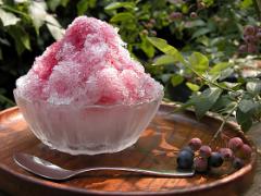 【心斎橋】日本茶専門店のこだわり"氷盛り"をいただきますっ♡