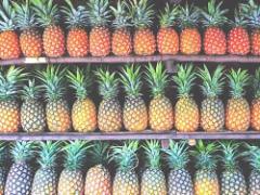 パイナップル！パイナップル！2015年夏はパイナップル柄ネイルをしよう