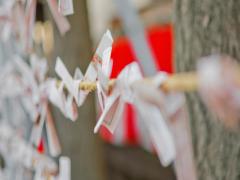 その恋叶います！恋愛成就に効くパワースポット♡〜関東・関西〜