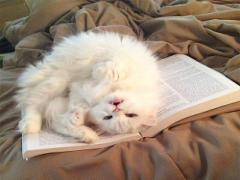 指輪に大切な思いを閉じ込めて♡乙女なハンドメイドリング