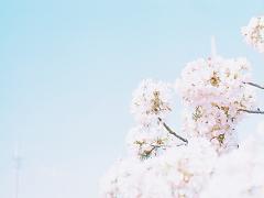 和装にぴったり『はんなり』髪型アレンジで少し背伸びしてみちゃう