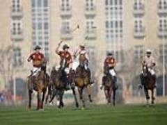 私の夏は人よりハイソ。人気4ブランドのポロシャツでTシャツブームに対抗！