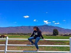 【関東】これぞ、いい休日の過ごし方。’’牧場’’で非日常な体験を