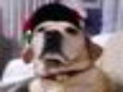 照り焼きもぶり大根も！和食の定番ぶりレシピ20選