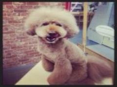 一度は行ってみたい♡スタバの記念すべき〔一号店〕ってどんなとこ？