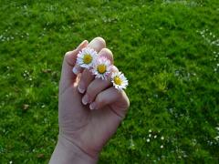 まるでジェル！おフェロ感満載のエテュセのマニキュアが超優秀♭