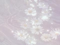 instagramで発見♡かわいすぎるアイテムたち♡