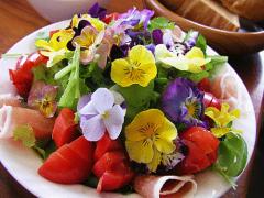 〔都内〕噂の"エディブルフラワー"が味わえる３つのお店をチェック！