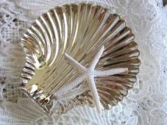 気分はリトルマーメイド♡宝石のようなシェルモチーフ雑貨特集