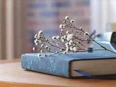 文学少女ってステキ♡ふらっと立ち寄りたい都内のブックカフェ5選