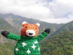 インスタで見つけた“ぬいぐるみが旅する”アカウント特集♡