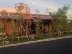 割安なランチ料金で魚介食べ放題♡お魚好きが大満足できる店特集