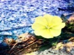 ホッと、可愛くライトアップ＊。間接照明で夜が待ち遠しくなるお気に入り部屋を