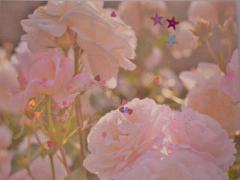 〈2015夏〉映画見るならまずチェック。8つのおすすめ作品まとめ