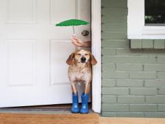 ついに梅雨入り…雨の日デートは【池袋】満天プラネタリウムで癒されて。