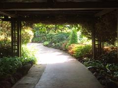 ディズニーランドだけじゃない♡まるでアニメの世界のような無料穴場スポット