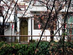 グルメを持って♡東横線沿いのテイクアウト専門店とお散歩デートはいかが？