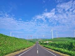 北海道で暑さから逃れましょ♪エリア別、夏の北海道おすすめスポット6選