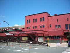 夏でも涼しーい！北参道周辺スケートデートの1DAYプラン＊