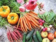 【花嫁修業！】おいしい・新鮮な野菜の見分け方を覚えましょう◎