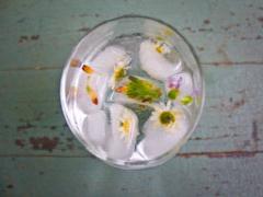 氷のなかにスキをぎゅっ。真夏のおうちドリンクに「アイスキューブ」