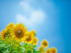 夏に向けての美脚メゾット。今日から始める脚やせストレッチ3STEP