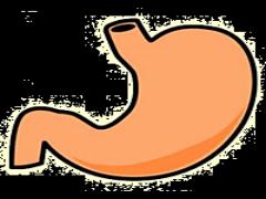 あなたの習慣にSTOP！胃を小さくする3つの方法探ります。