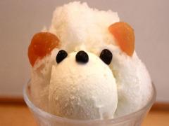 冬眠からこんにちは♡恵比寿の"くまちゃんかき氷"で暑い夏に癒しを。