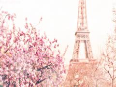 パリのたのしみ制覇♡旅行前に必ずチェックしておきたいリスト