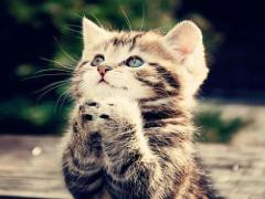 お金が貯まる、試験に合格する。みんなのやってるゲン担ぎって？