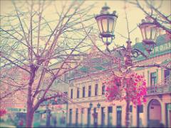 「いい子じゃない♡」と思われたい。彼ママにご挨拶に行く日の準備リスト