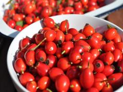 not飲むだけ！パッティング、入浴etc…ローズヒップで抜ける白雪肌をゲットせよ