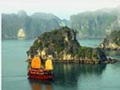 ベトナムに住んでいた私が’’本当は秘密にしたい’’美味しい「ベトナム料理屋さん」