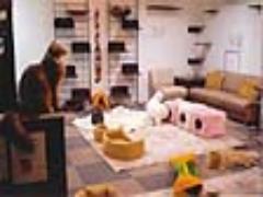 猫カフェだけじゃなかった♡都内の動物に会えるカフェで癒しのひとときを。