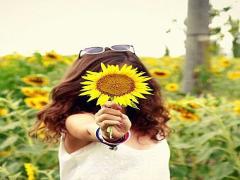 【関東】暑い夏。太陽に向かって輝くひまわりを見に行きませんか？