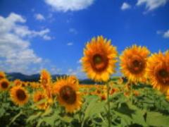 この夏おすすめのクラッチバッグ！INするポーチもご紹介♡