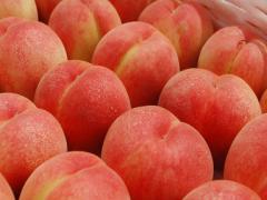 食べるだけで美しくなれる魔法の果実で恋が叶う♡桃のヒ・ミ・ツ